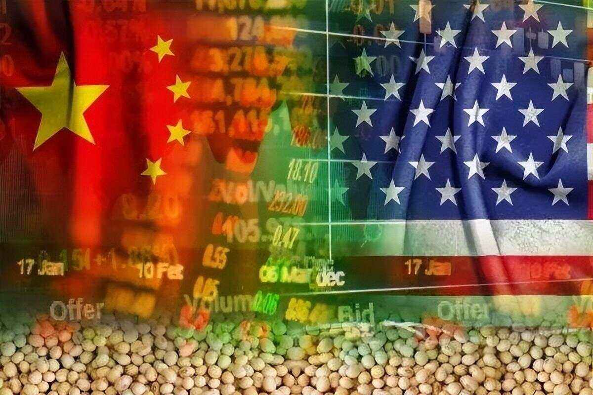 包含Ming连续五场比赛得分超过反败为胜，美国队不断突破！的词条